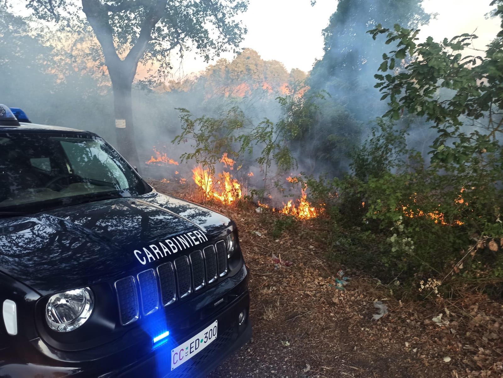 Lotta agli incendi boschivi, ecco il bilancio dei Carabinieri Forestale di Rieti