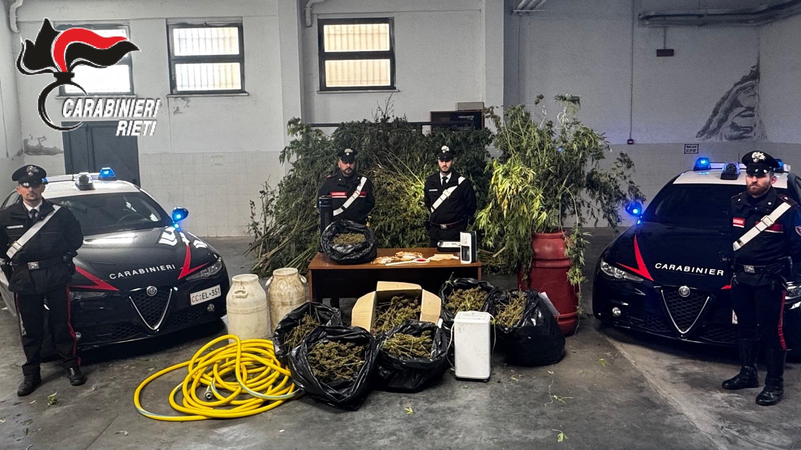 SCOPERTA IN BASSA SABINA UNA PIANTAGIONE DI MARIJUANA: DUE ARRESTI